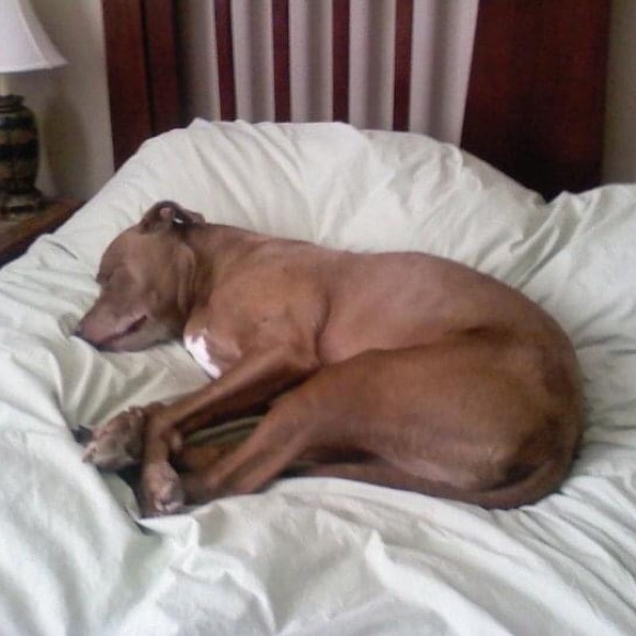 Meet your Posher, Allison - Picture 16 of 16